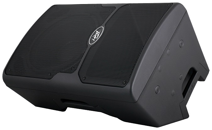 PEAVEY PVX-15 PASSIVE SPEAKER